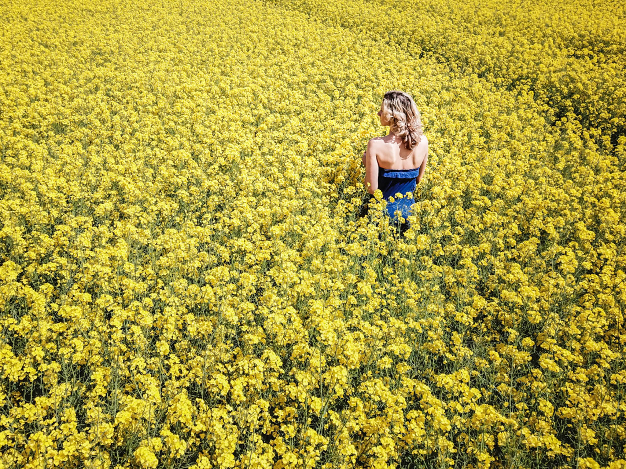 Fotoshooting Rapsfeld Rapsblüte Naturshooting FotosImRaps Blütenmeer FieldPhotography NaturePortrait GoldenHourPhotography SpringVibes